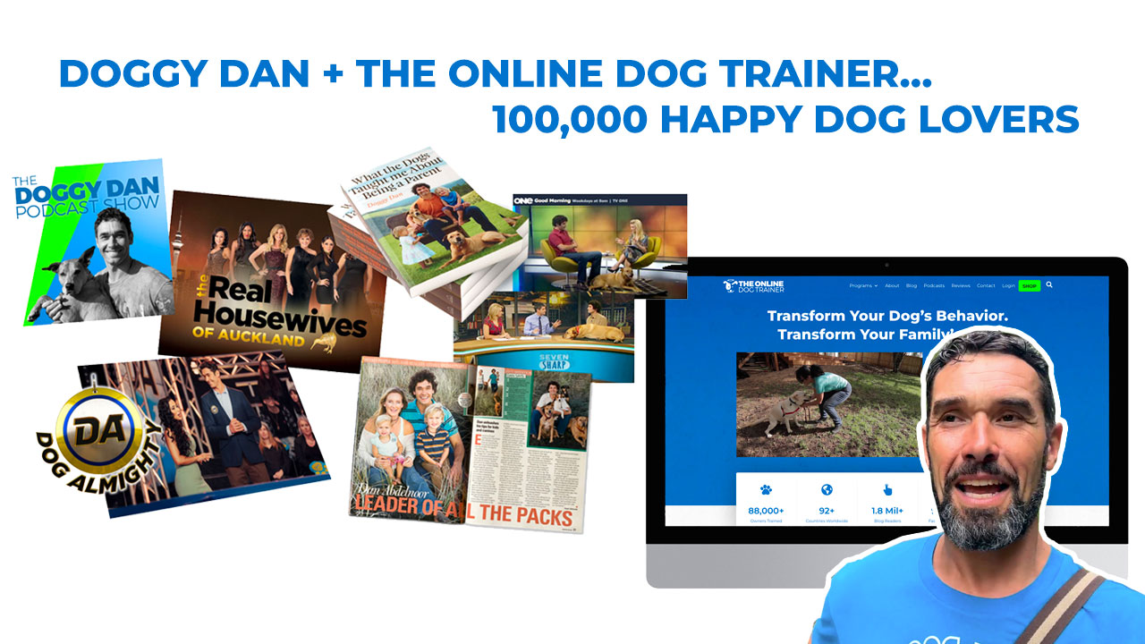 Doggy Dan qualifications and experience