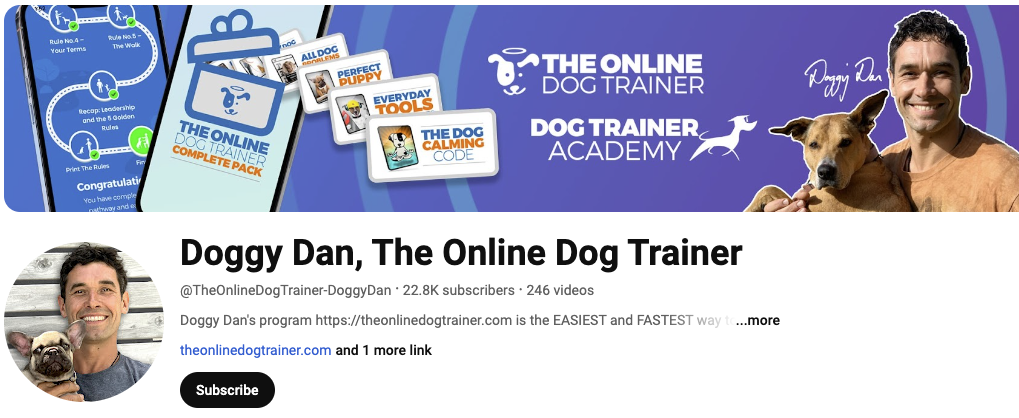 doggy dan review profile on youtube